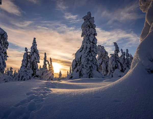 Сонце Освітлює Аранжування Полі Покритому Снігом Відбитками Ньому — стокове фото