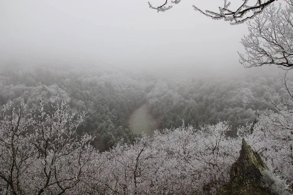 Мечтательный Живописный Туманный Вид Лес Окружающий Бернкастель Кус Точки Зрения — стоковое фото