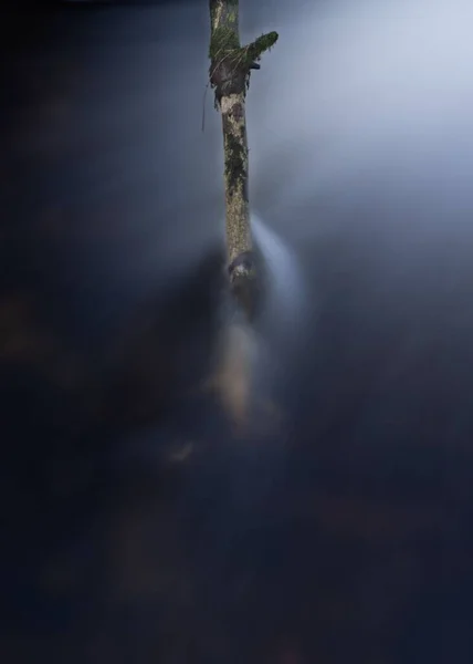Detailní Záběr Stromu Pod Potokem Vody — Stock fotografie