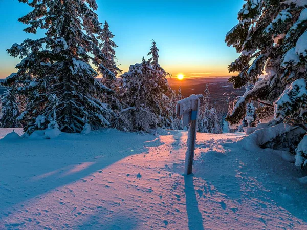 Замороженный Деревянный Знак Снежными Деревьями Золотым Закатом Заднем Плане Холодный — стоковое фото