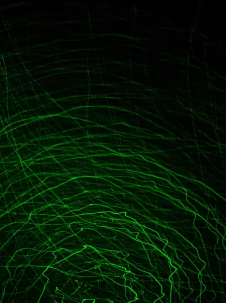 Hareket Eden Yeşil Lazer Işıkları Bırakıyor — Stok fotoğraf