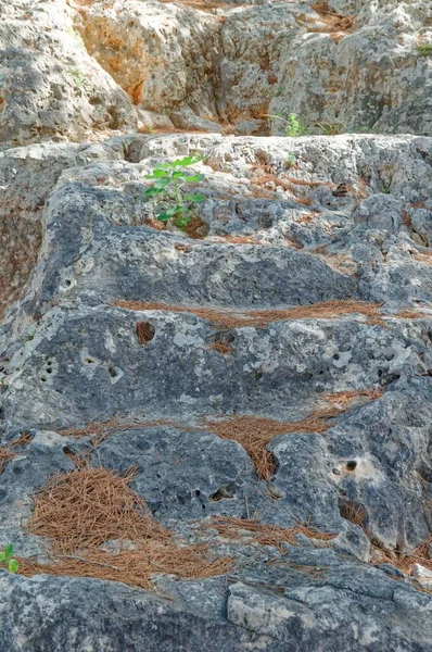 Vista Vertical Perto Uma Parede Pedra Envelhecida Denia Espanha — Fotografia de Stock