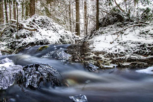 Arroyo Que Fluye Través Hermoso Bosque Blanco Invierno Suecia Larga —  Fotos de Stock