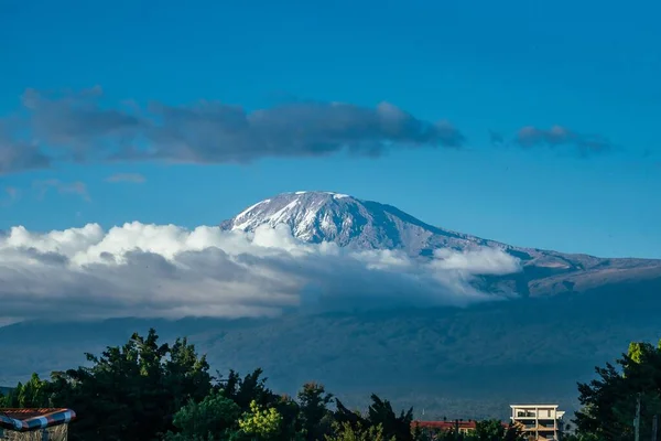 Uma Paisagem Neve Monte Kilimanjaro Horizonte Madeira Verde Tanzânia Com — Fotografia de Stock