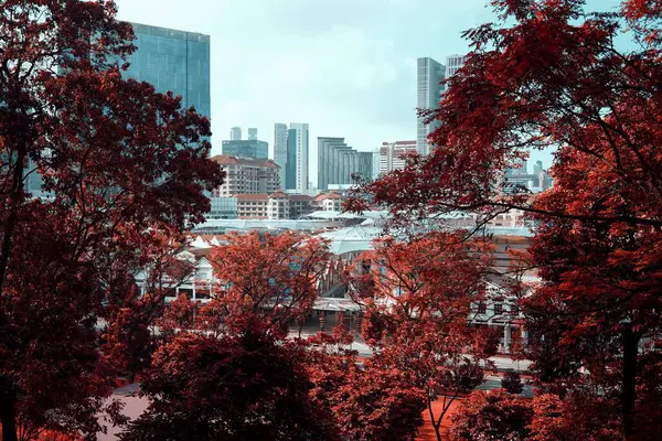 Una Hermosa Vista Edificios Centro Singapur Entre Árboles — Foto de Stock