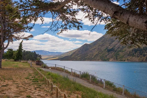Krajobraz Chodnika Obok Jeziora Waitaki Koło Kurow Gałęzią Drzewa Totara — Zdjęcie stockowe