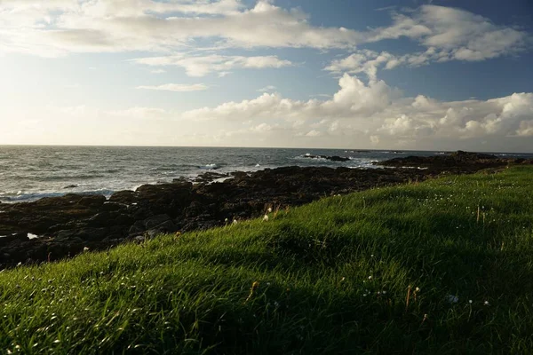 Vacker Utsikt Över Ett Hav Med Kust Täckt Med Gräs — Stockfoto