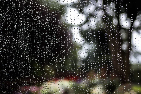 在花园的窗户上 有一缕水滴的特写镜头 — 图库照片