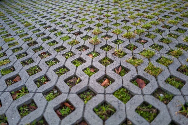 Eine Nahaufnahme Von Park Rasengitter Perfekt Für Hintergrund Oder Tapete — Stockfoto
