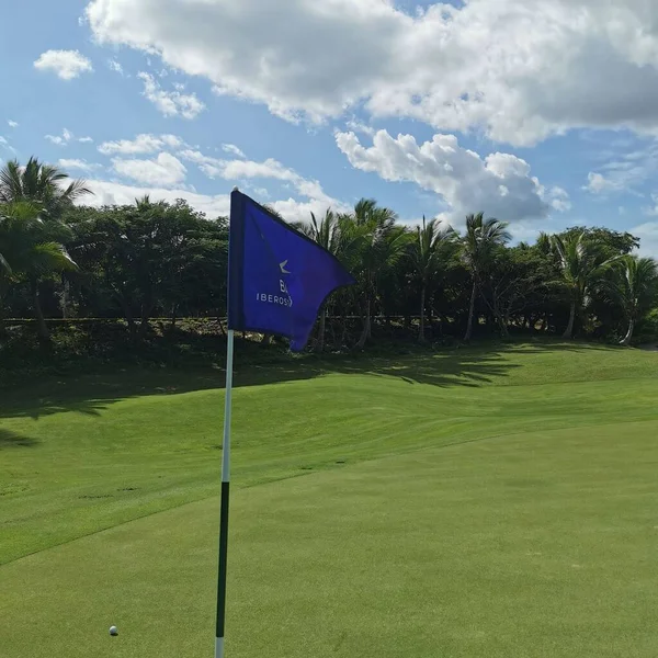 Una Splendida Vista Golf Club Con Palme Intorno — Foto Stock