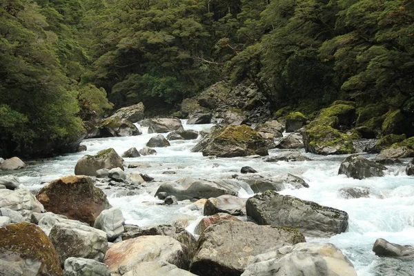 Río Que Fluye Sobre Enormes Rocas Través Del Bosque Nueva —  Fotos de Stock