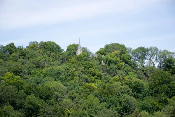 Прекрасный Вид Высокие Деревья Голубым Небом Растущей Вдалеке Церковной Башней — стоковое фото