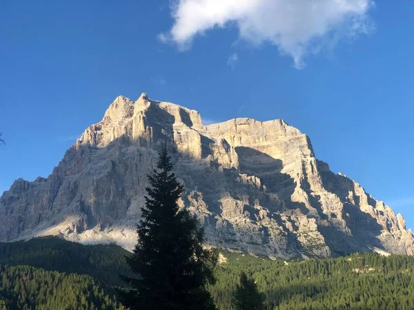 Naturskön Bild Ett Stenigt Berg Med Träd Förgrunden Solig Dag — Stockfoto