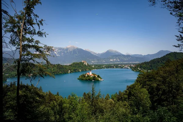 Uma Paisagem Ilha Bled Com Colinas Verdes Redor Eslovênia — Fotografia de Stock