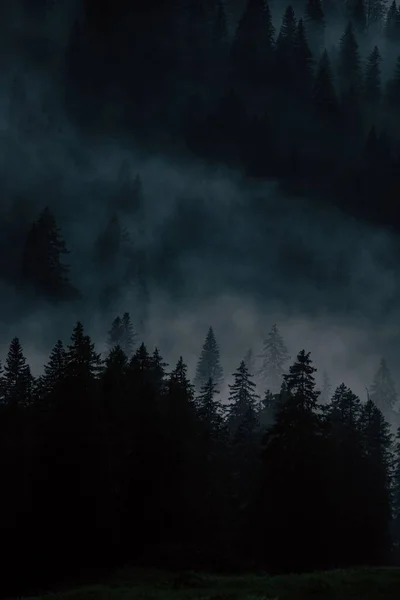 Eine Vertikale Aufnahme Eines Wunderschönen Waldes Der Nähe Der Berge — Stockfoto