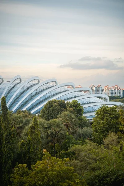 Pionowy Widok Powietrza Zieleni Singapurze Przed Kopułą Kwiatu — Zdjęcie stockowe
