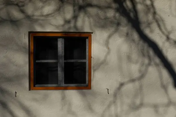 Крупный План Белого Дома Деревянного Окна Отражающего Тень Дерева — стоковое фото