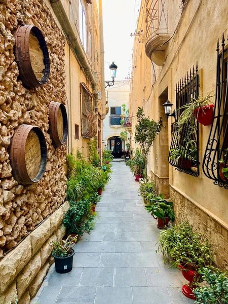 Eine Vertikale Aufnahme Von Winzigen Straßen Von Palma Mallorca Valldemossa — Stockfoto