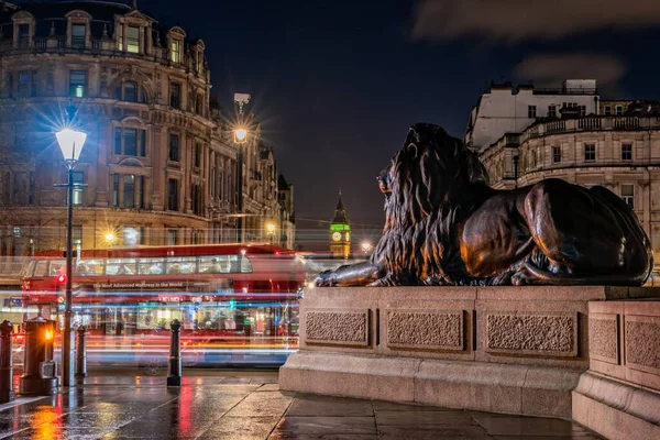 Один Львов Трафальгарской Площади Лондоне — стоковое фото