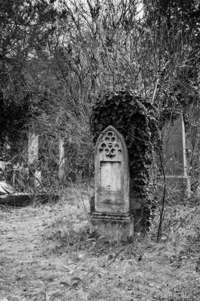 Vertical Grayscale Shot Grave — Stock Photo, Image