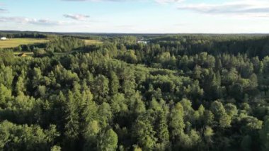 Letonya 'da bulutlu mavi gökyüzünün altında bir orman ve nehir havası..