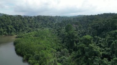 Filipinler, Subic Körfezi 'nde bulutlu bir gökyüzünün altında suyla çevrili bir ormanın insansız hava aracı görüntüsü.