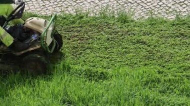 Çimleri biçen traktörlü bir bahçıvan.