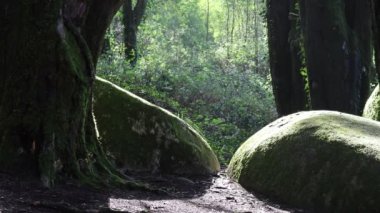Portekiz 'deki Sintra Cascais Doğal Parkı' nın üzerindeki arazinin bir görüntüsü.