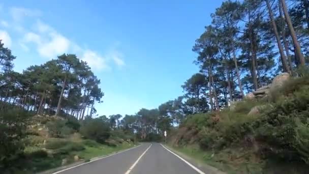 Ett Skott Från Bil Stig Genom Naturpark Sintra Cascais Portugal — Stockvideo