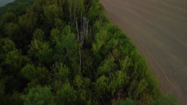 Een Luchtopname Een Gecultiveerd Veld Groene Bomen Rond Het Stilstaande — Stockvideo