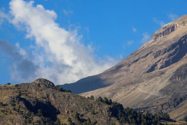Dağlardaki ağaçların güzel manzarası