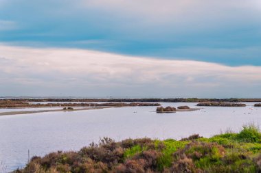 Güneşli bir yaz gününde güzel bir deniz manzarası