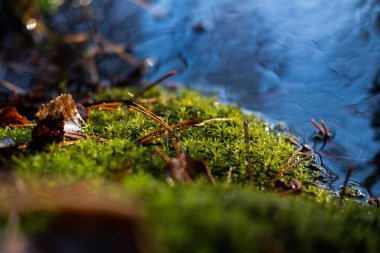 Nehrin suyuna güzel bir yakın çekim