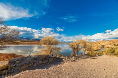 Nevada 'daki Pahranagat Gölü' nün yanında vahşi bitkilerle dolu bir çöl manzarası. Yazın mavi gökyüzü.