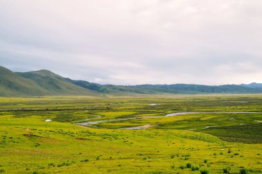Bozkır bir bölgenin büyüleyici bir görüntüsü, arka planda dağlar olan ağaçsız bir çayır düzlüğü.