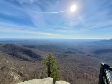 Mavi gökyüzünün altındaki dağdan ağaçlarla dolu güzel bir orman manzarası.