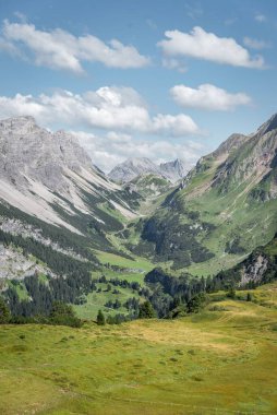 İlkbaharda Avusturya, Vorarlberg 'de bir tepede çimenlik bir tarla.