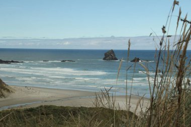 Dunedin, Yeni Zelanda 'da güzel bir okyanus manzarası