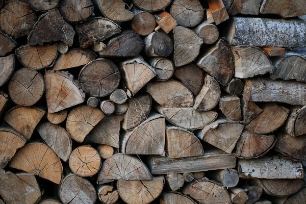 Zbliżenie Strzał Ciętego Drewna Opałowego Tapeta Ciętych Gałęzi Drzew Kłód — Zdjęcie stockowe