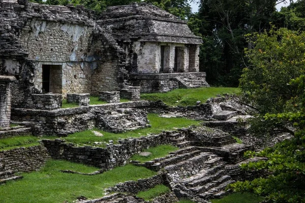 Zona Arqueológica Palenque Hermoso Paisaje Verde — Foto de Stock