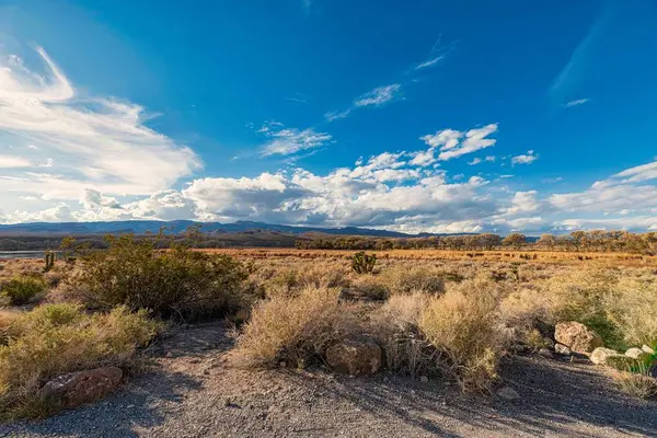 Landscape Clouds Desert Wild Plants Nevada Blue Sky Horizon — Stock Photo, Image