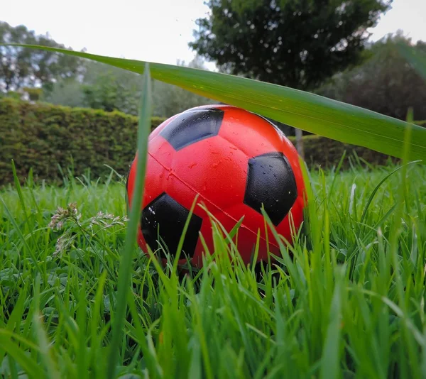 Tiro Close Uma Bola Futebol Vermelho Grama Com Gotas Água — Fotografia de Stock