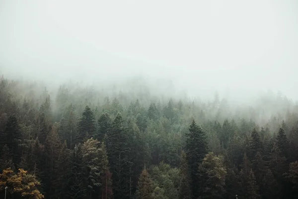 Uma Vista Aérea Densas Florestas Montanha Verdes Dia Nebuloso — Fotografia de Stock