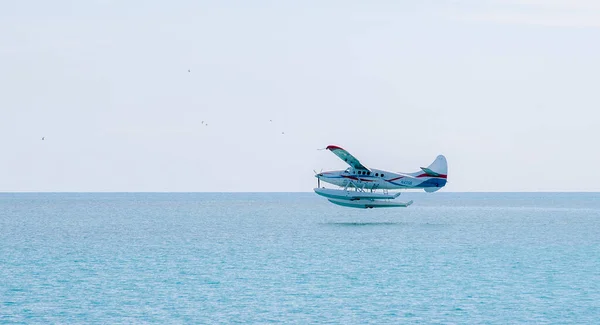 Horizontale Ansicht Eines Blau Weißen Wasserflugzeugs Das Tief Über Die — Stockfoto