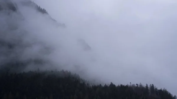 德国巴伐利亚阿尔卑斯山中 一架无人驾驶飞机在雾气中拍摄的树木 — 图库照片