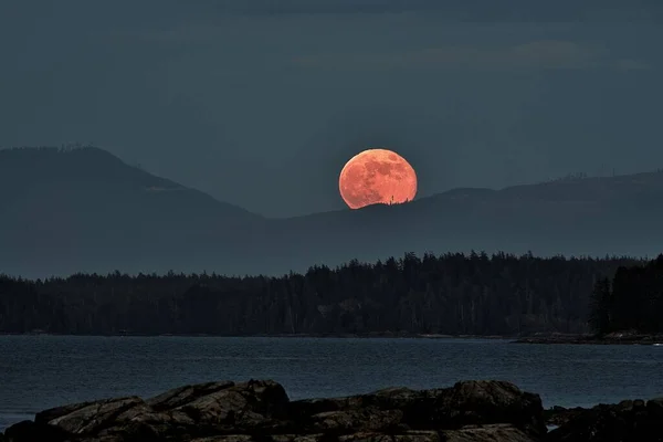 Scenic Shot Full Moon Rising Lake Surrounded Lush Greenery Canada — Stock Photo, Image