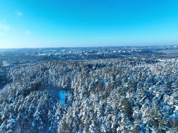 Una Vista Aérea Los Árboles Bosque Cubierto Nieve —  Fotos de Stock