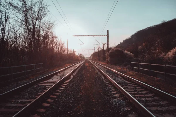 Fall Scene Railway Tracks Surrounded Bare Trees Hills Daytime — Stock Photo, Image
