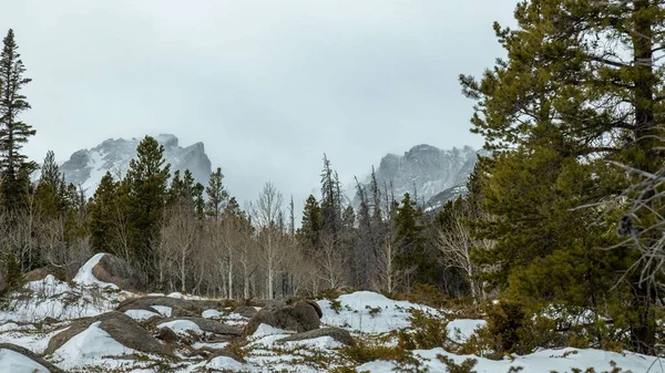Landscape Snow Covered Mountains Estes Park Colorado Winter Trees Foreground — Stock Photo, Image