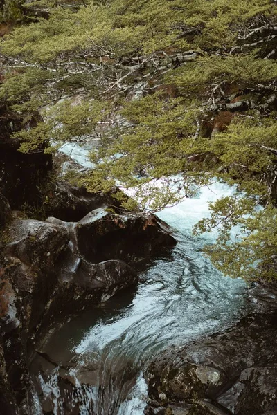 Een Prachtig Uitzicht Een Kleine Alpine Waterval Met Bomen Bij — Stockfoto